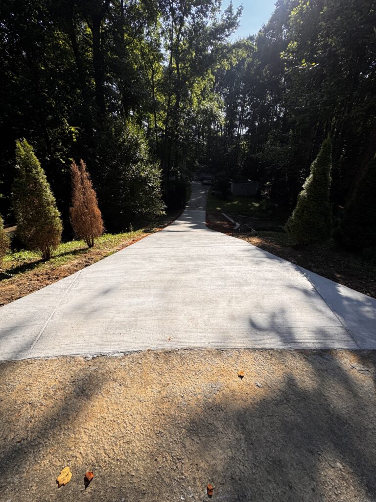 Concrete driveway bordered by trees
