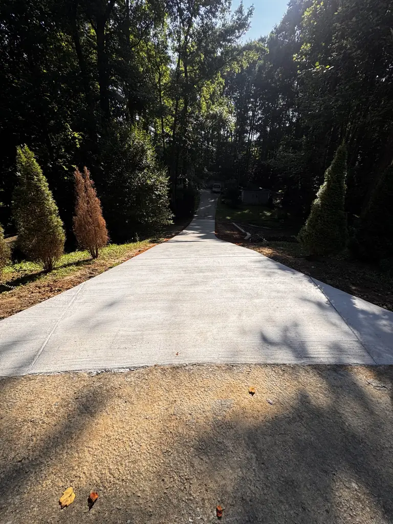 Concrete driveway bordered by trees